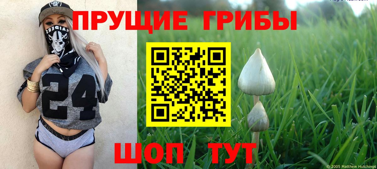 Галлюциногенные грибы мухоморы Йошкар-Ола